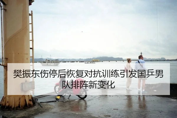 樊振东伤停后恢复对抗训练引发国乒男队排阵新变化